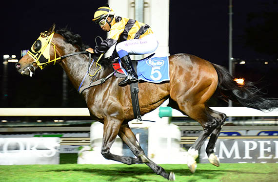 Copper Parade wins the Listed Golden Loom at Turffontein 2013-11-02