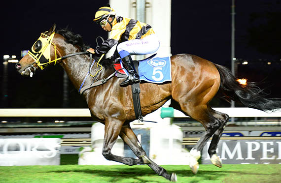 Copper Parade wins the Listed  Golden Loom at Turffontein 2013-11-02