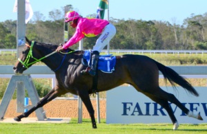 Easy! Sea Cat wins the Listed Breeders Guineas going away at Fairview on Friday (Coastal Photos)