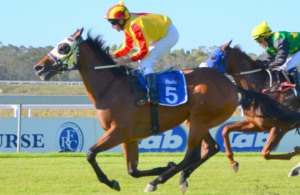 Forest Digger stays on best to win the R100 000 Lakeside Handicap at Fairview (Coastal Photos)
