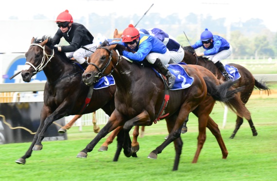 Earl Of Derby wins Egoli Mile