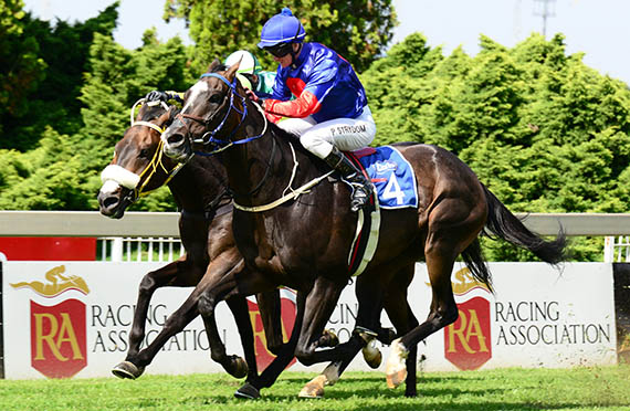Halve The Deficit wins the Listed Wolf Power 1600 at Turrfontein 2014-02-08