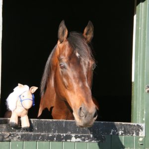Harry the Horse meets Dynasty