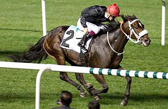 Kavanagh wins the District One Handicap
