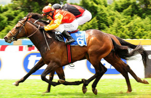 Killua Castle wins at Turffontein on 2012-10-13