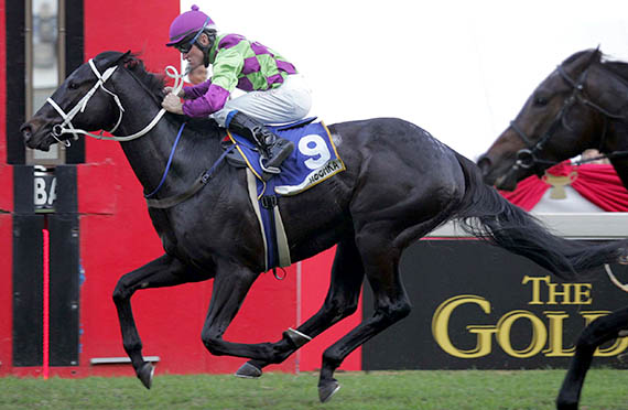 Kochka wins the Gr1 Premier's Champion Stakes at Greyville 13-07-27