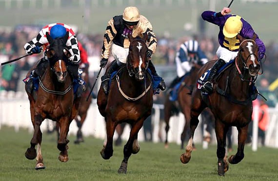 Lord Windemere wins the Gold Cup at the 2014 Cheltenham Festival