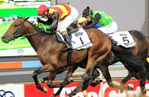 Louis The King in full flight for Triple Crown glory as he staves off Mister Cricket to win SA Classic