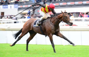 Ruling Monarch! Louis The King storms clear under Robbie Fradd to win the Gr2 Gauteng Guineas (JC Photos)