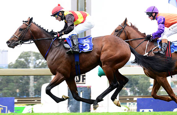 Louis The King wins the Listed Sea Cottage Stakes at Turffontein 2014-01-12