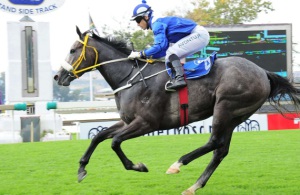 Unbeaten in two starts, the Redoute's Choice filly Majmu wins the Pretty Polly Stakes (JC Photos)