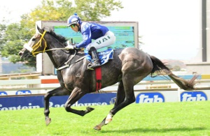Great Debut! Majmu powers clear under Anthony Delpech after a slow start (JC Photos)