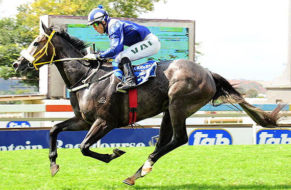 Majmu wins the Listed Ruffian Stakes at Turffontein 2014-03-08