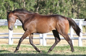 Child Genius! The young Mastermind in his younger days at Avontuur