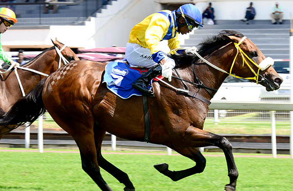 Moofeed wins the Gold Rush Sprint at Turffontein 2014-03-08