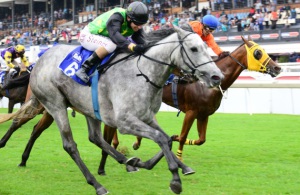 Gutsy Grey! Orator's Daughter powers back under Anton Marcus to beat Uptothemoon (JC Photos)