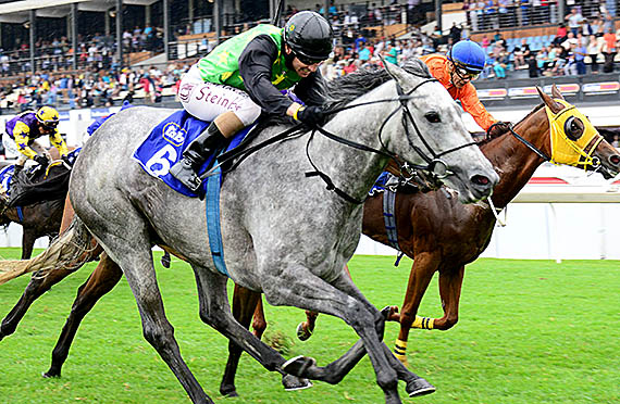 Orator's Daughter wins the Gr3 Acacia Handicap at Turffontein on 2014-03-01
