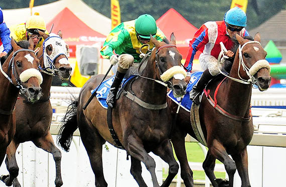 Storm Warning wins the Listed Aquanaut Handicap at Turffontein 2014-03-01