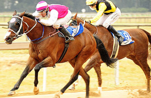 The Mouseketeer wins the Listed Riverside Handicap at Vaal on 13-03-26