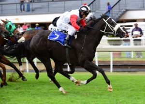 Dancing In The Rain! Winter Passion draws clear to win the Bauhinia Handicap (JC Photos)