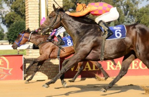 Dead Or Alive? Casa Nostra (orange) gets up on the line to share the spoils (JC Photos)