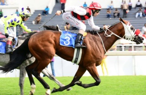 Tiger Ridge colt Isphan storms clear to win Protea Stakes