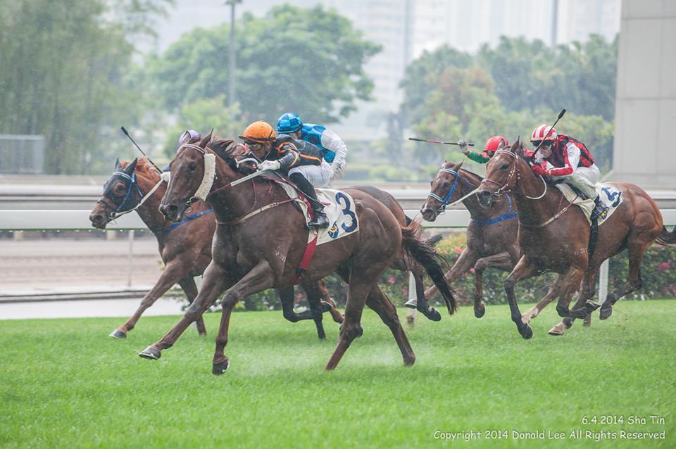 Karis Teetan wins the HK Gr2 Chairman's Trophy