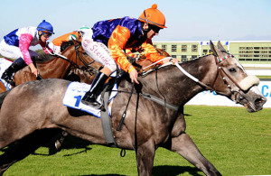 All Is Secret wins at Kenilworth 12-11-10