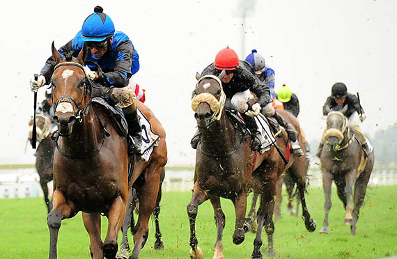 Arcetri Pink wins the Gr2 Gauteng Fillies Guineas at Turffontein 2014-03-01