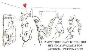 Artificial insemination