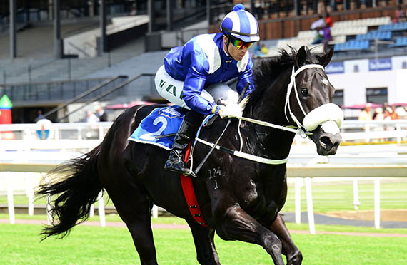 Banaadeer wins the Listed Storm Bird Stakes at Turffontein 2014-03-08