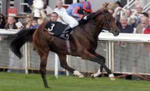 The Soldier during his racing career