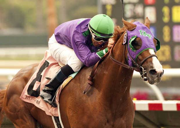 California Chrome wins the 2013 Graduation Stakes at Del Mar