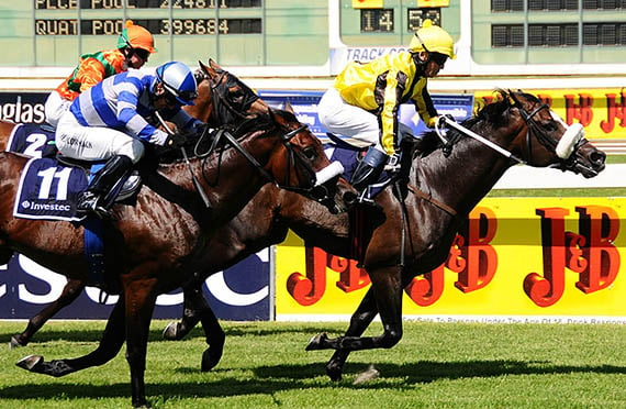 Capetown Noir wins the Gr1 Cape Derby at Kenilworth 13-02-02