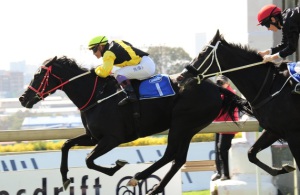 Weichong Marwing drives Cherry On The Top through on the rail to win te erald Rosenberg (JC Photos)