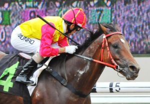 Coronet Peak (Kahal), a BSA graduate charges home a winner in Singapore. Photo: Singapore Turf Club.