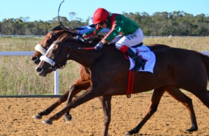 She's A Pippa rallies to beat Shingwedzi in a thriller (Coastal Photos)