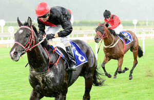 Eurakilon wins at Vaal on 2014-02-01