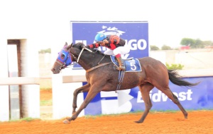 Karlo is driven out by Mandla Ntuli to win the Northern Cape Stayers Handicap (JC Photos)
