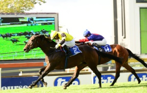 Kinematic Countess wins the Sycamore for the second year running as Mary Stuart holds on for second (JC Photos)