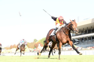 Another angle on Louis The King's great win 9JC Photos)