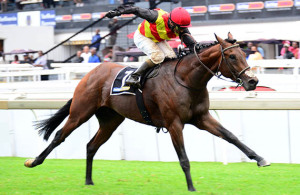 Louis The King wins the Gr2 Gauteng Fillies at Turffontein 2014-03-01