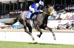 Anton Marcus steers Majmu to facile victory in SA Fillies Nursey (JC Photos)