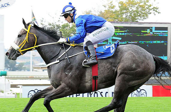 Majmu wins the Gr3 Pretty Polly Stakes at Turffontein 2014-03-29