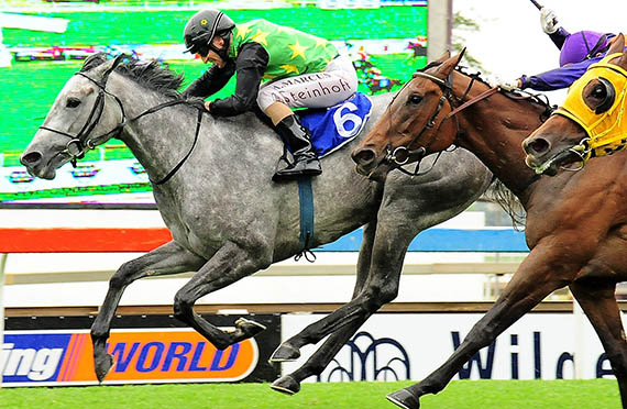 Orator's Daughter wins the Gr3 Acacia Handicap at Turffontein 2014-03-01