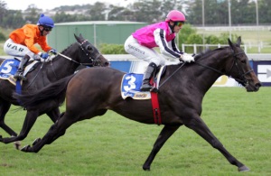 Schiffer draws away in smashing fashion to win the Easter Dash unextended