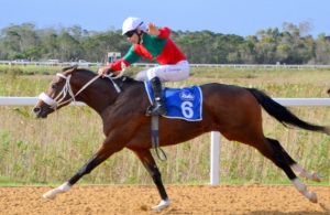 Aldo Domeyer salutes as Shine Like A Star passes the post to win the East Cape Nursery (Coastal Photos)