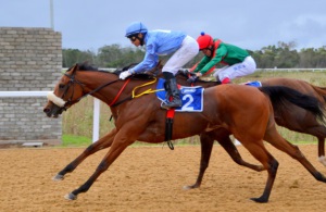 Shingwedzi - well weighted filly could provide the upset