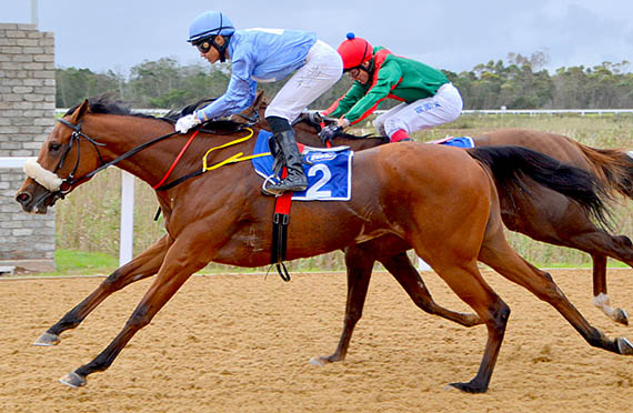 Shingwedzi wins the Oaks Plate at Fairview 14-04-04