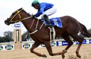 Silent Force wins the Queen Of The Sand in runaway fashion (JC Photos) 